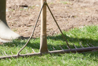 pathways Middlesbrough